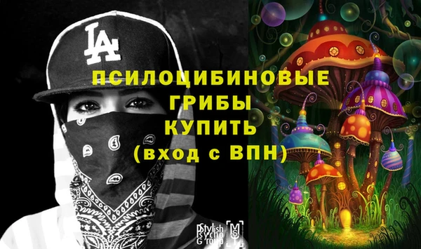 прущая мука Армянск