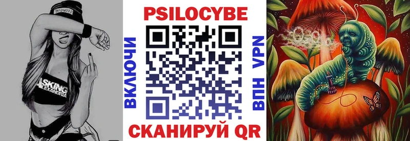 ОМГ ОМГ   Чернушка  Галлюциногенные грибы Psilocybine cubensis 