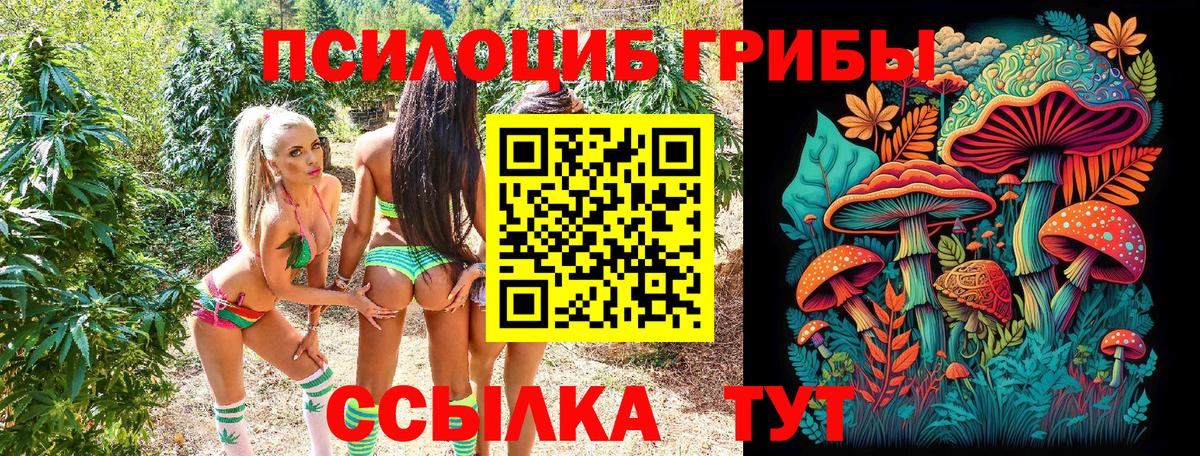 Галлюциногенные грибы прущие грибы Чернушка